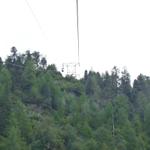 k-P1460106.JPG