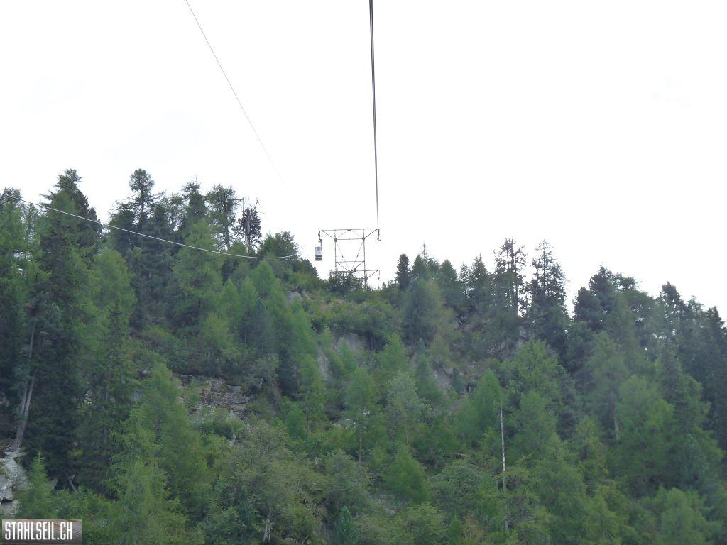 k-P1460106.JPG