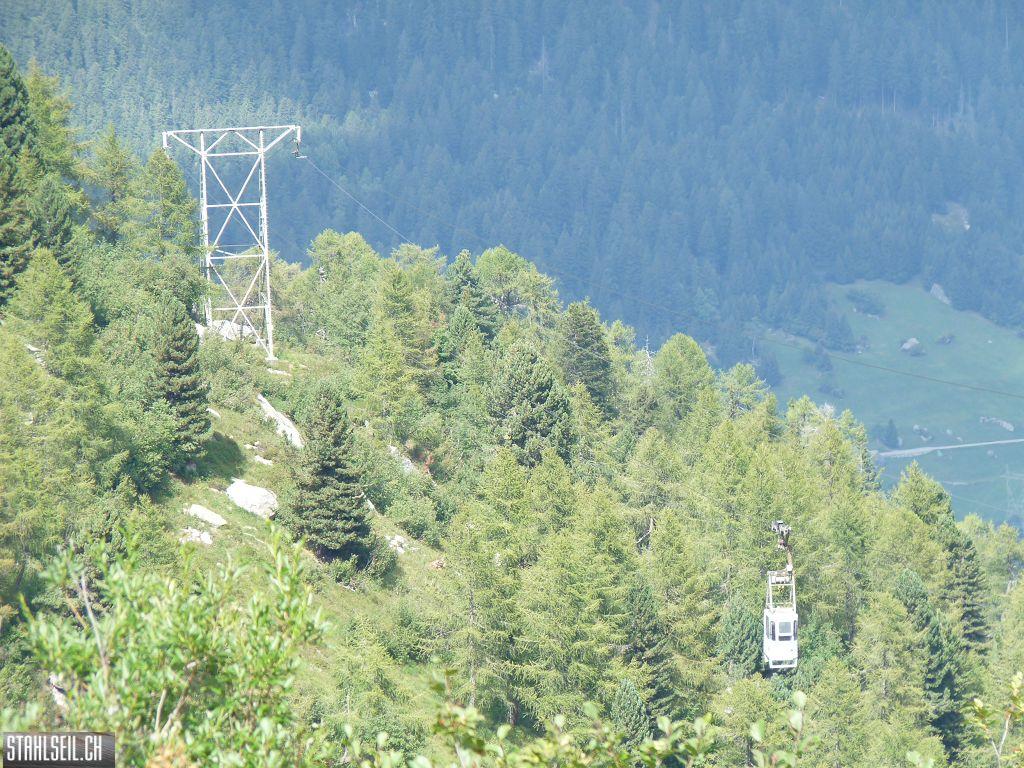 k-P1460142.JPG