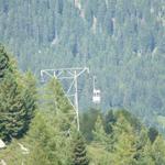 k-P1460146.JPG