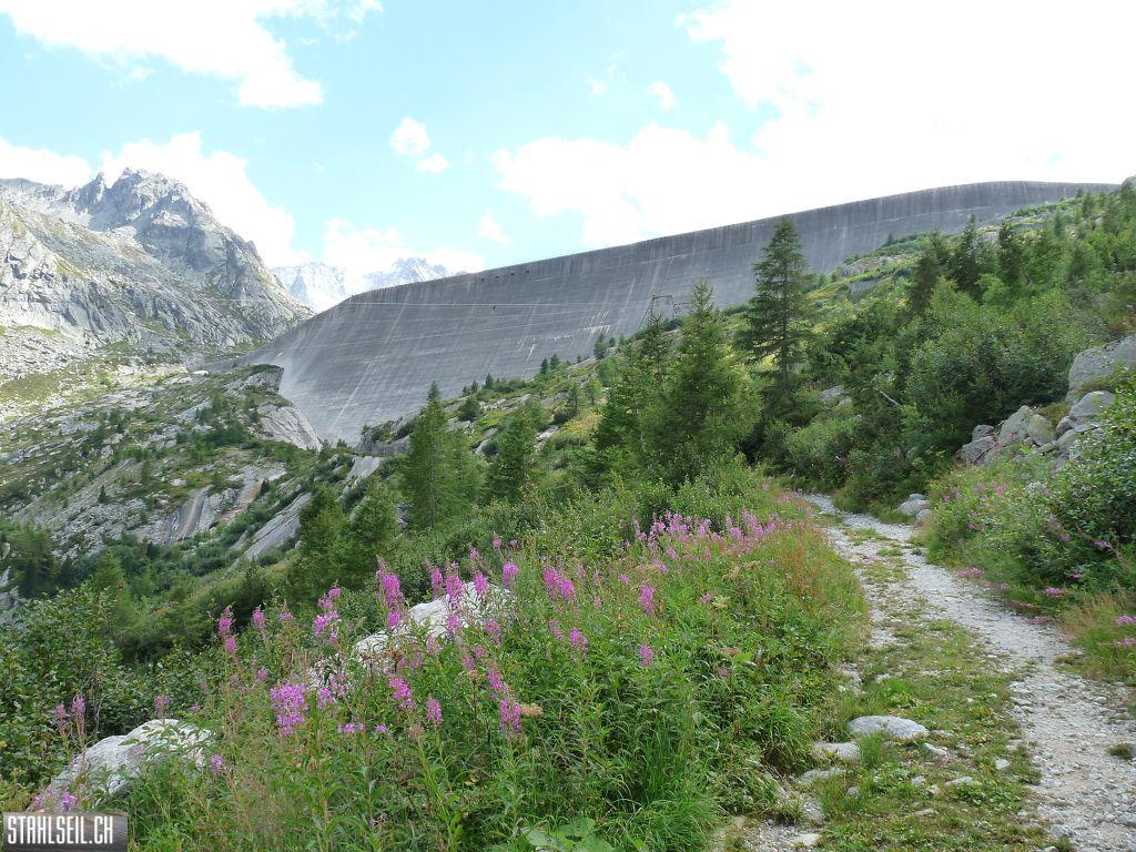 k-P1460170.JPG