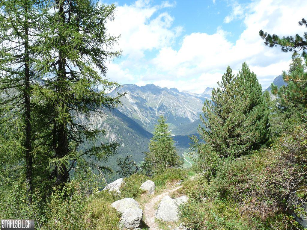 k-P1460175.JPG