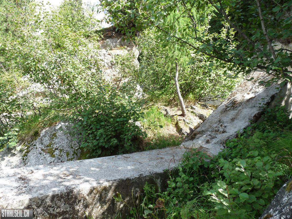 k-P1460179.JPG