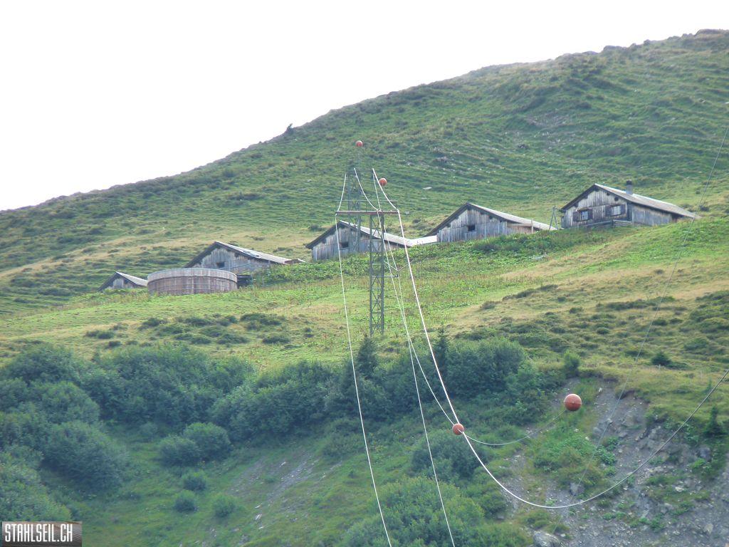 k-P1440358.JPG