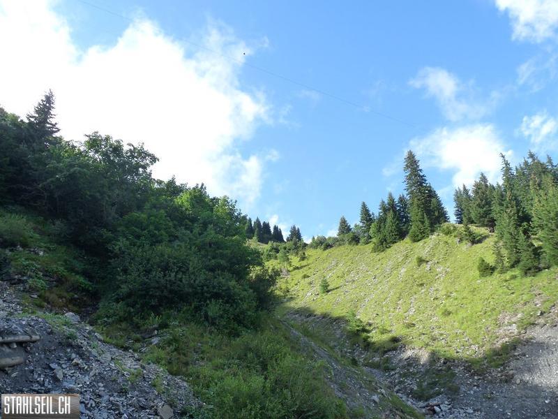 k-P1440366.JPG