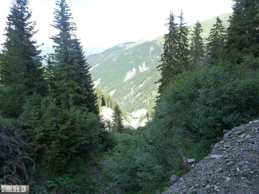 k-P1440367.JPG