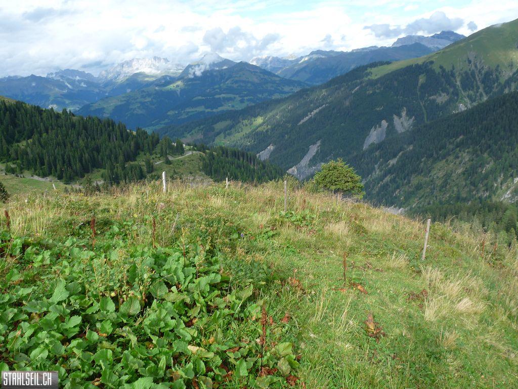 k-P1440372.JPG