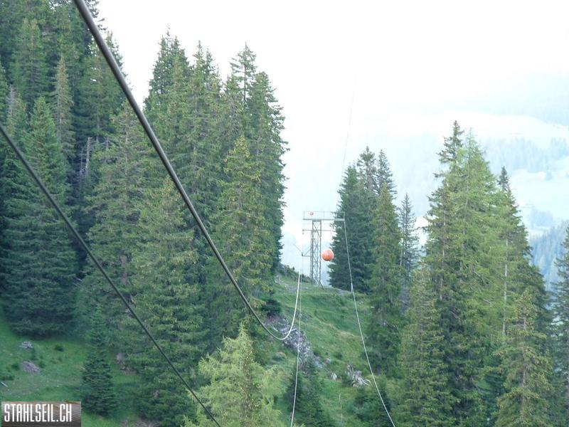 k-P1440453.JPG