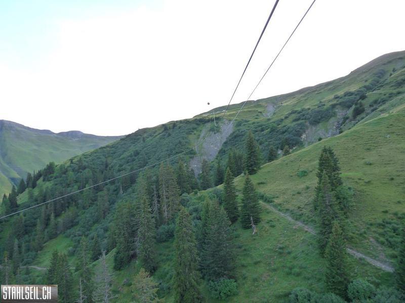 k-P1440454.JPG