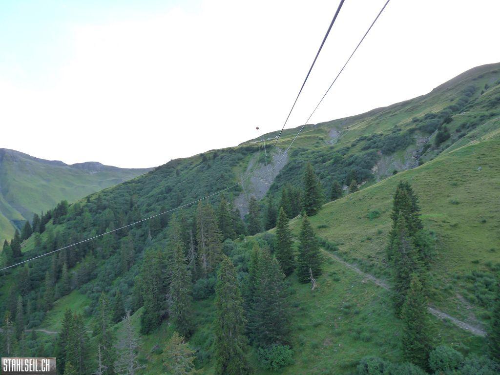 k-P1440454.JPG