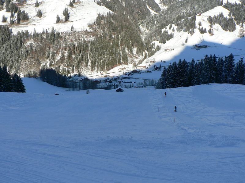 k-P1550072.JPG
