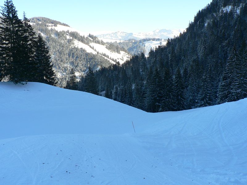 k-P1550127.JPG