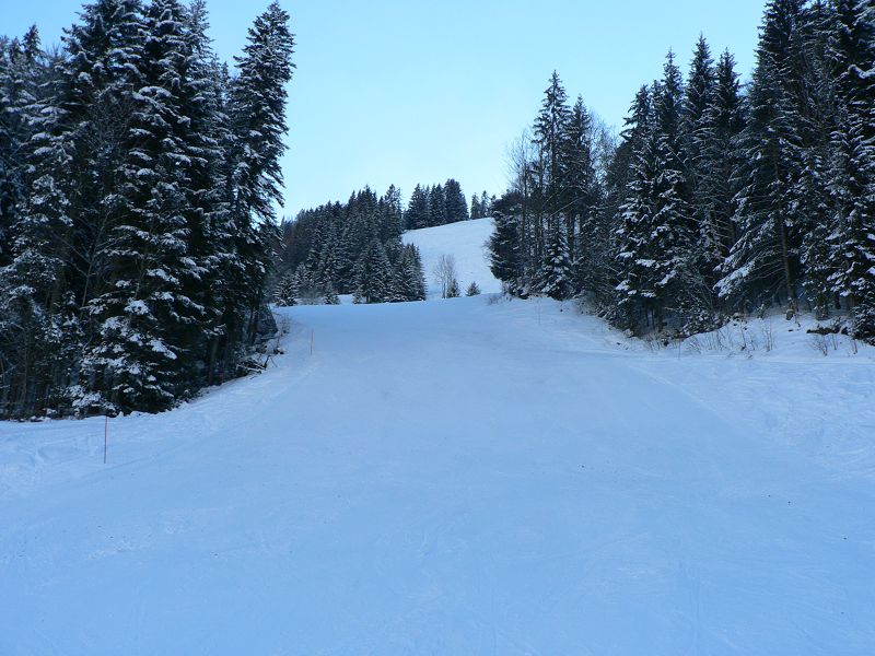 k-P1550135.JPG