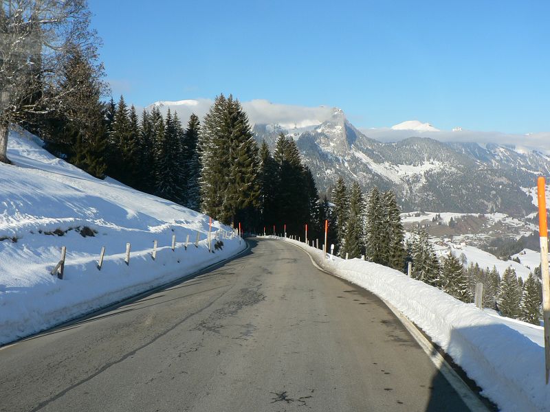 k-P1550137.JPG