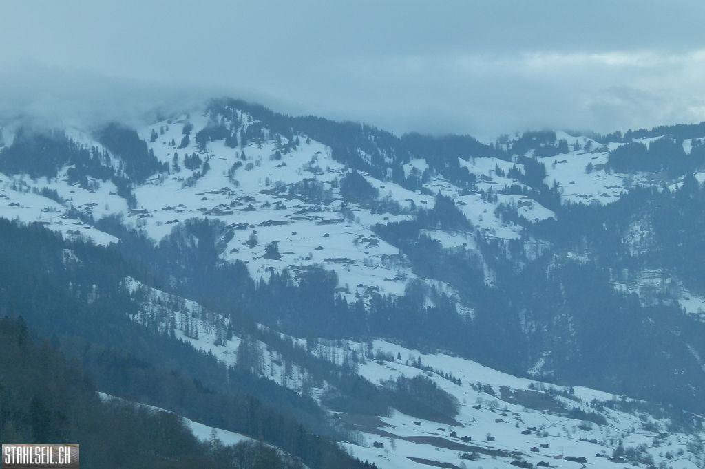 k-P1310490.JPG