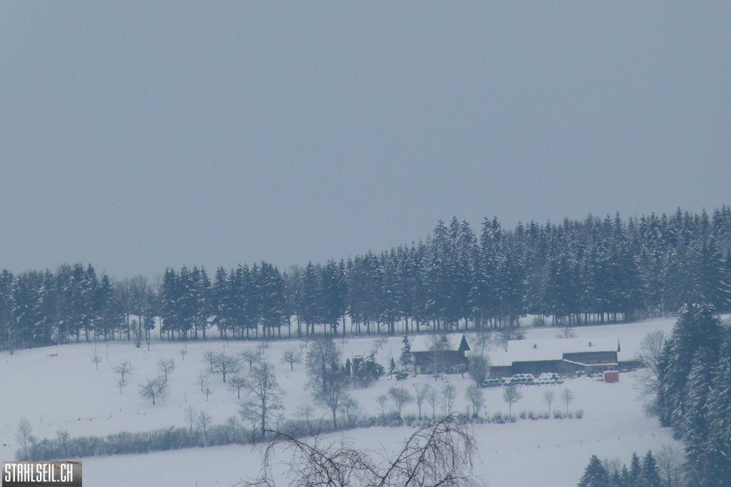 k-P1440969.JPG
