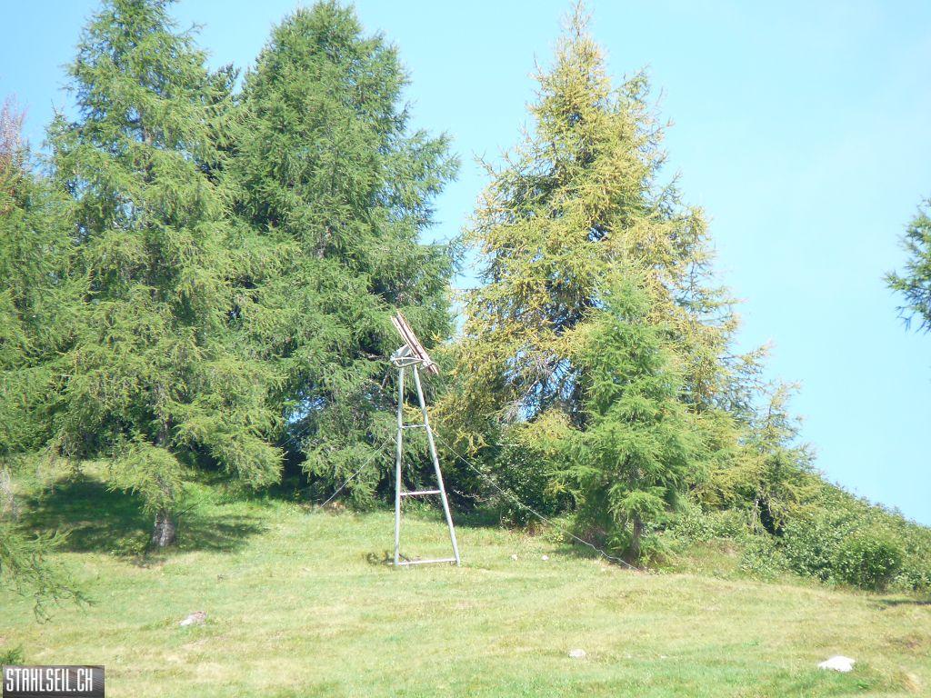 k-P1430621.JPG