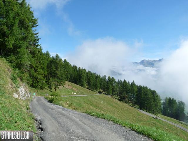 k-P1430627.JPG
