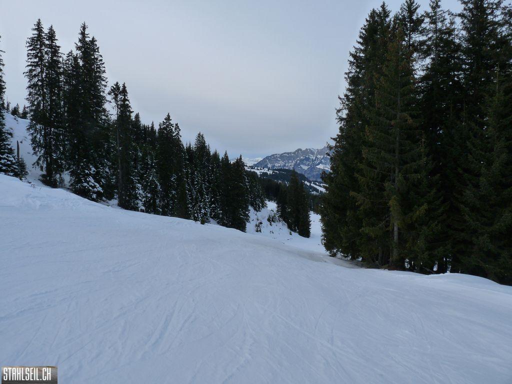 k-P1260451.JPG