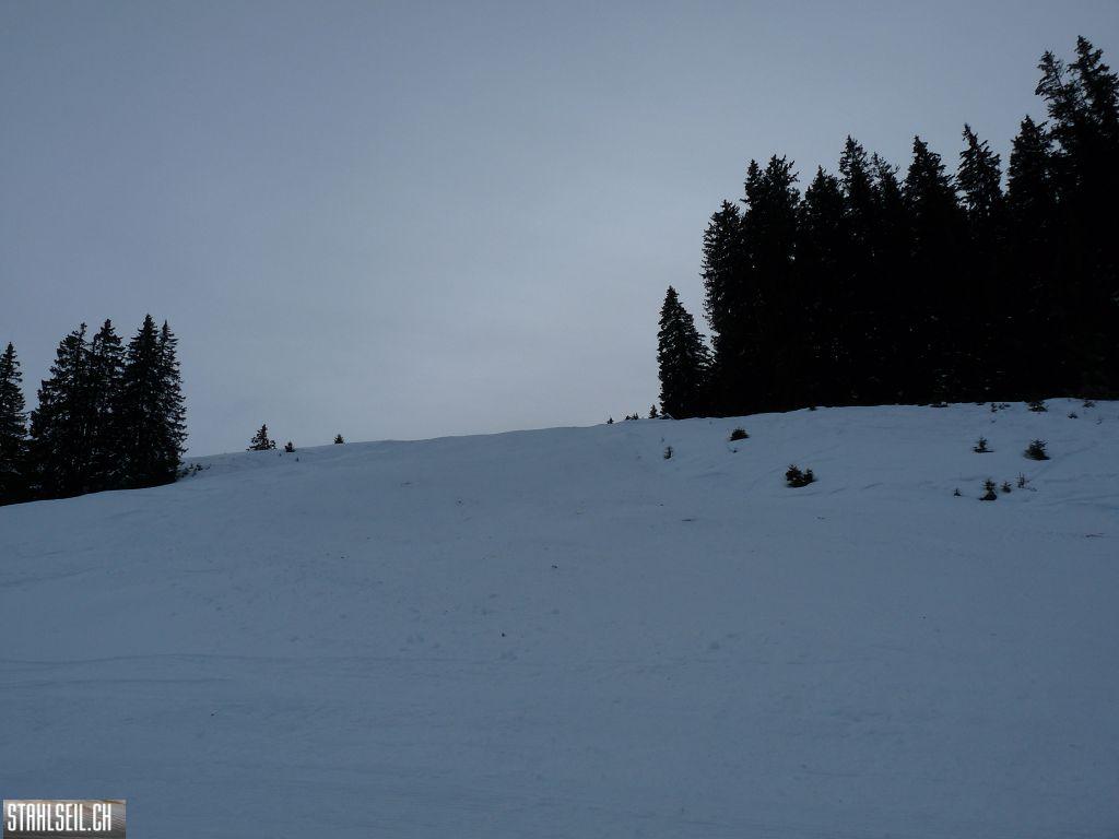 k-P1260476.JPG