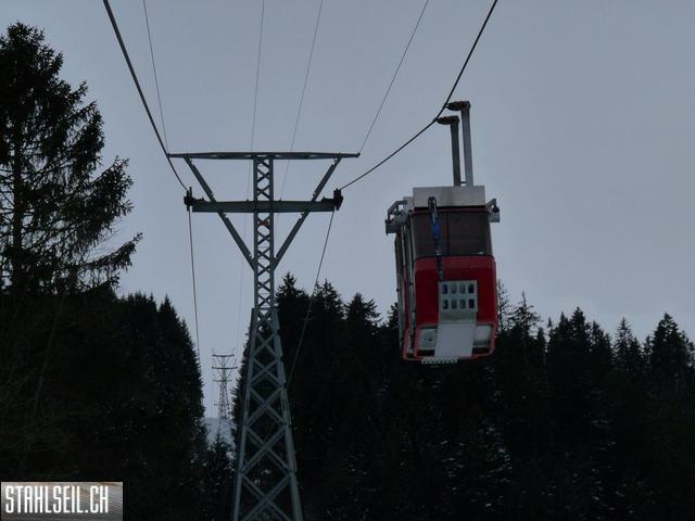 k-P1260489.JPG