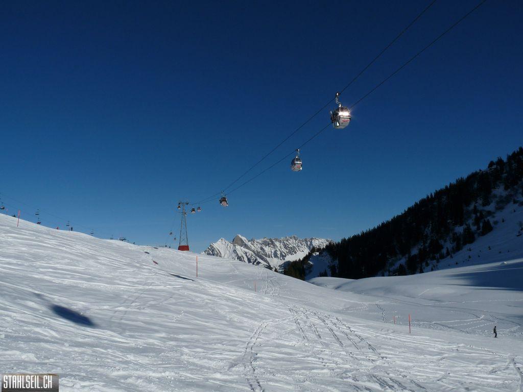 k-P1260259.JPG