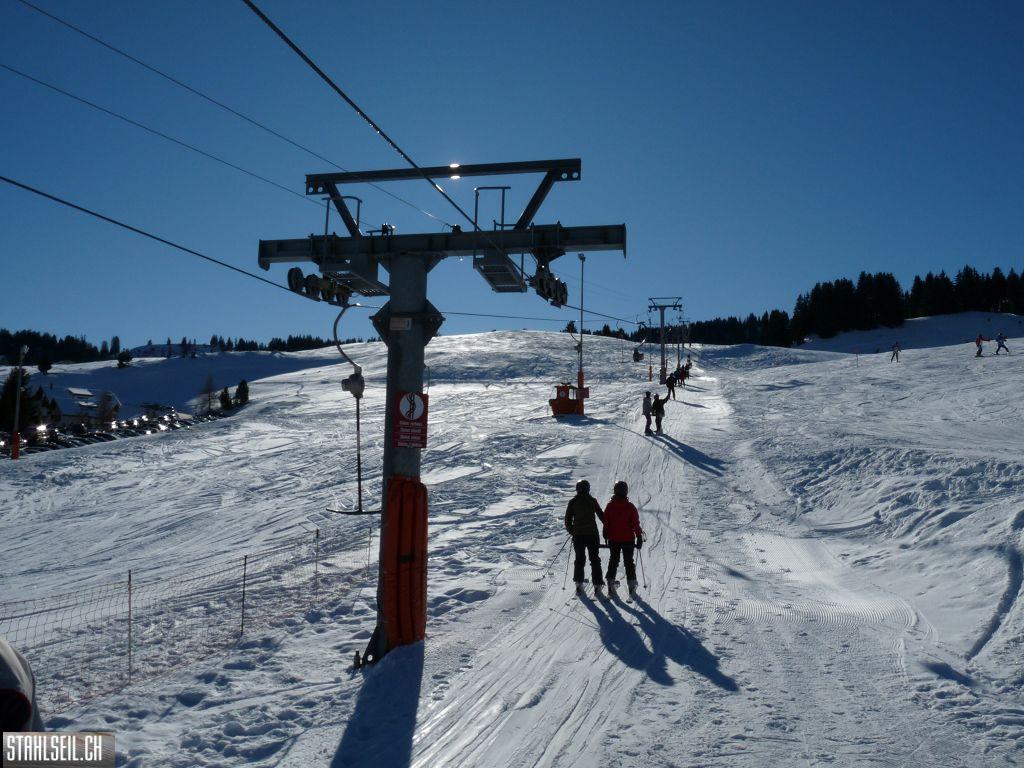 k-P1260042.JPG
