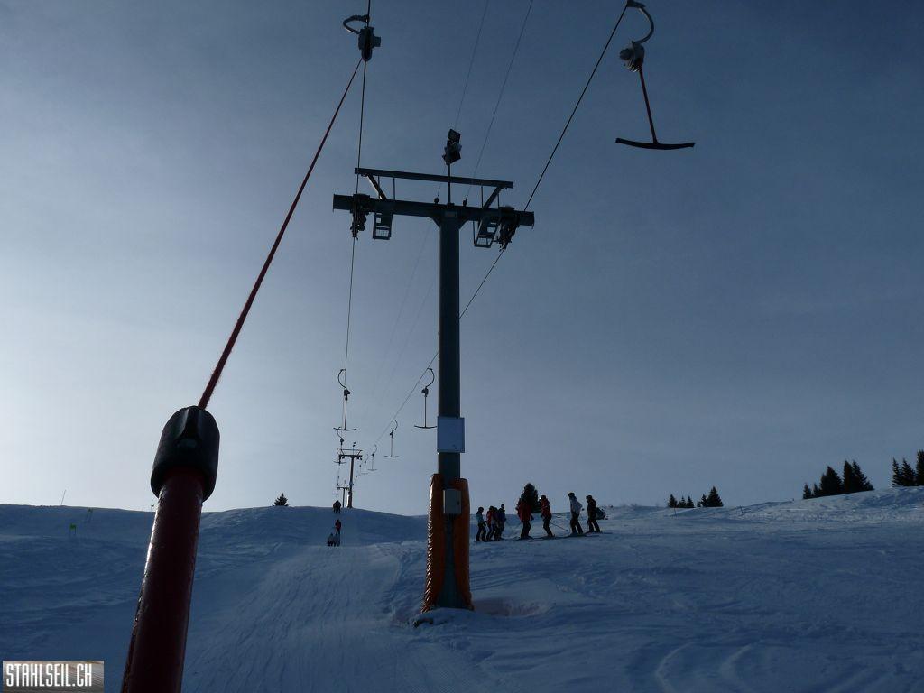 k-P1260375.JPG