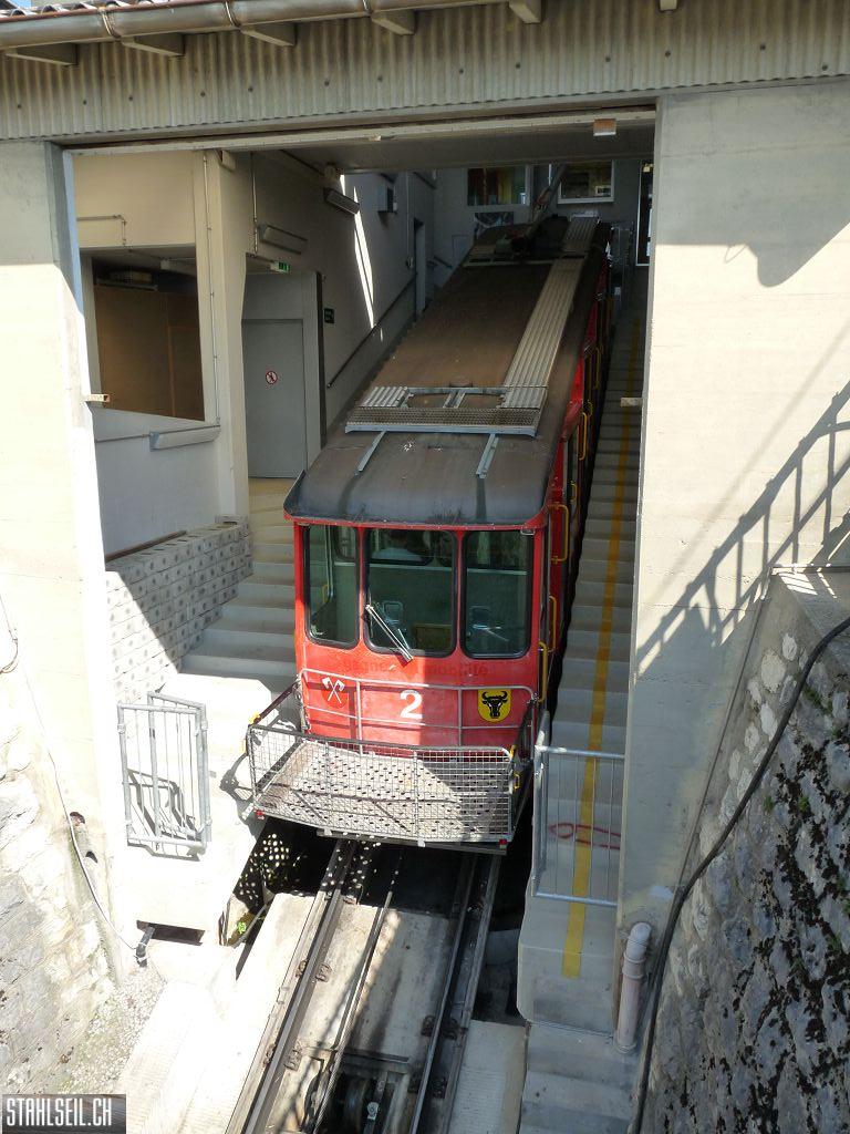 k-P1160259.JPG