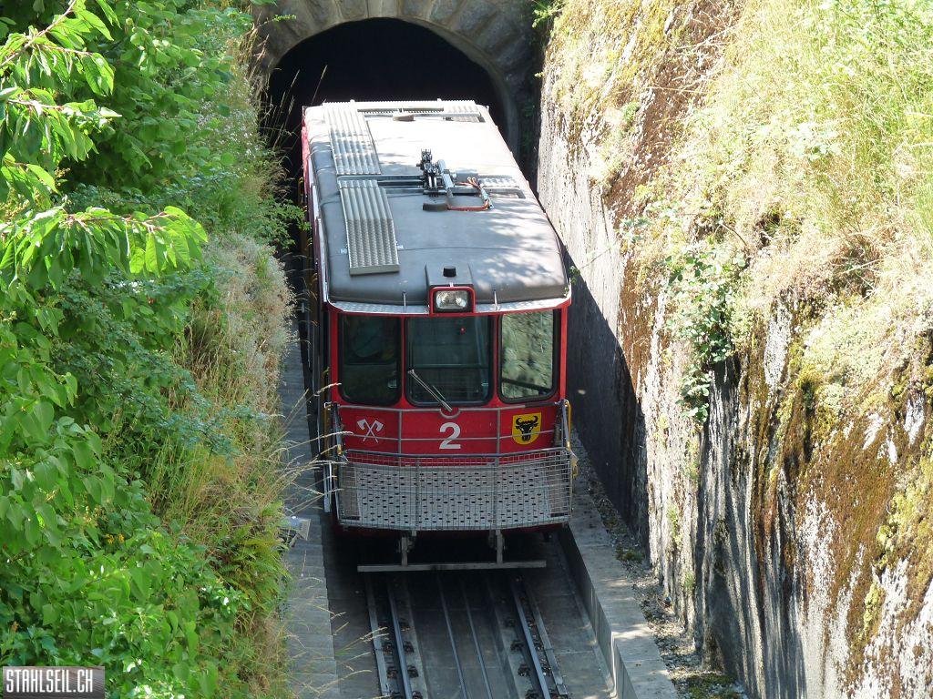 k-P1160263.JPG