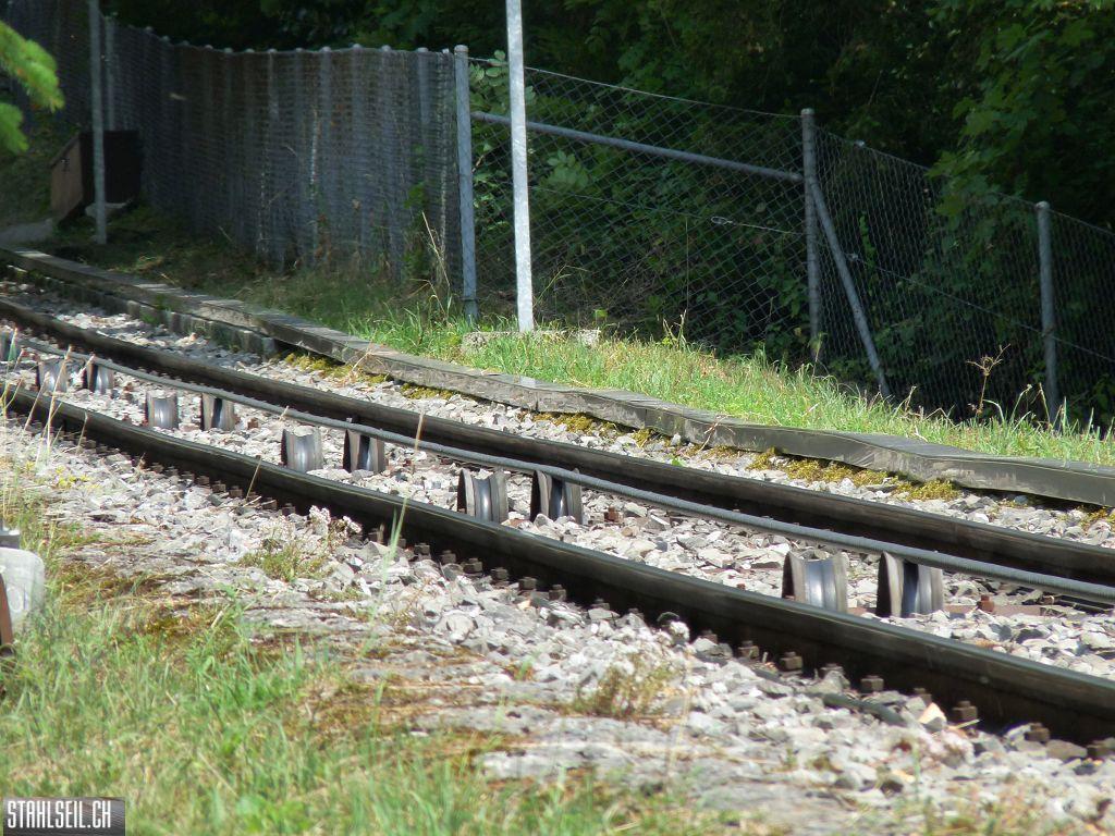 k-P1160312.JPG