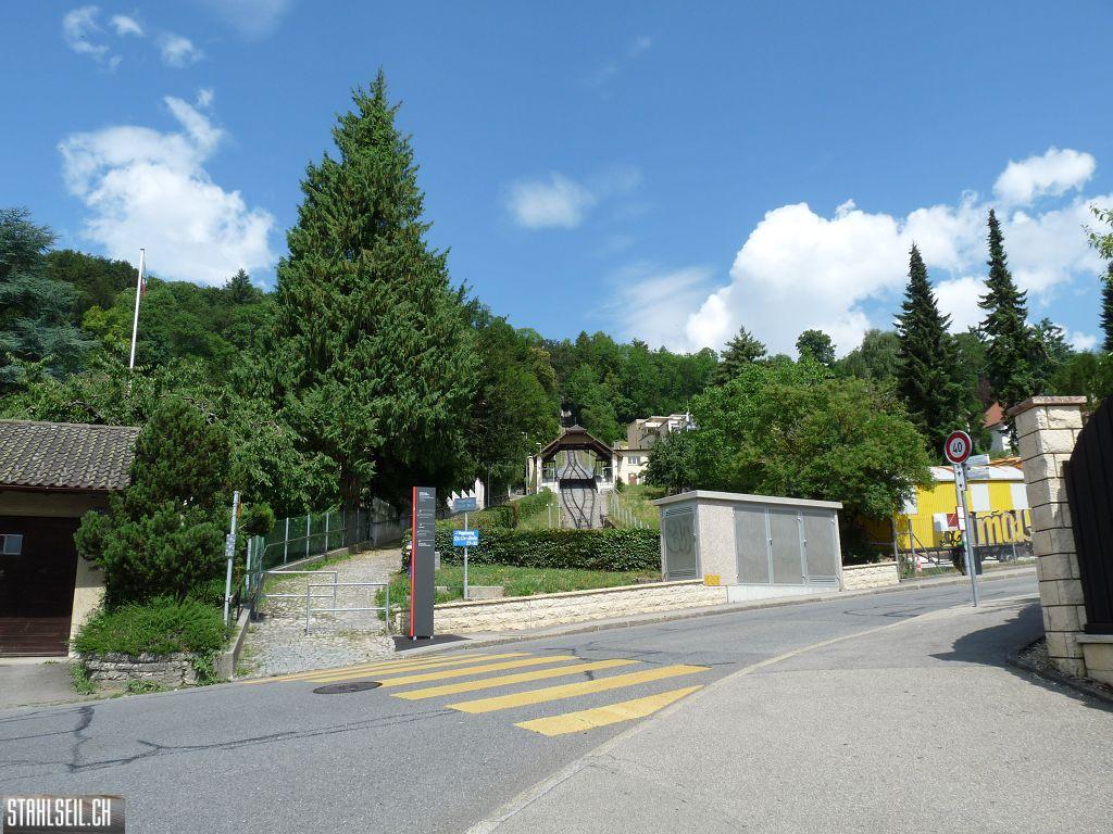 k-P1160321.JPG