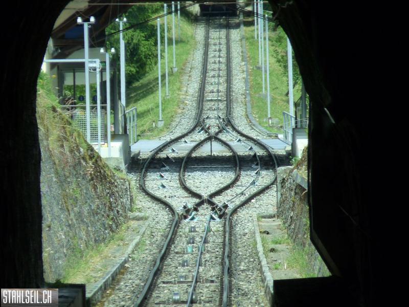 k-P1160365.JPG