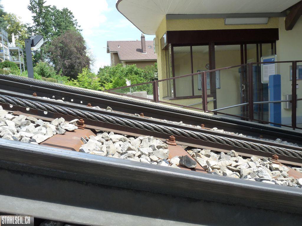 k-P1160387.JPG