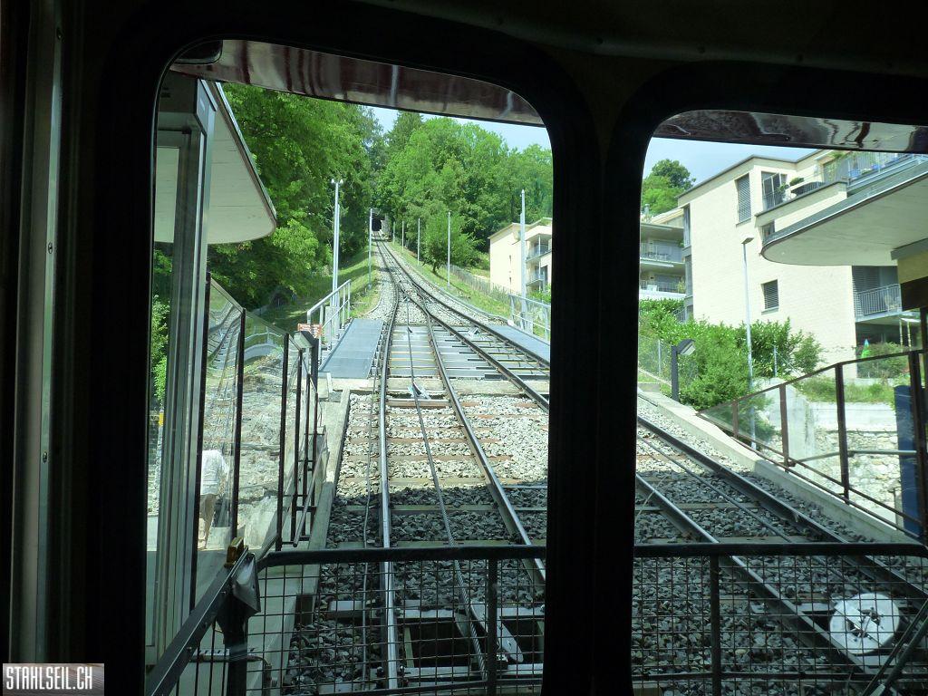 k-P1160399.JPG