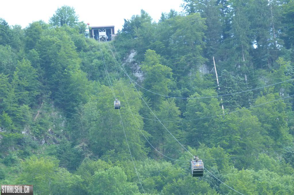 k-P1370236.JPG