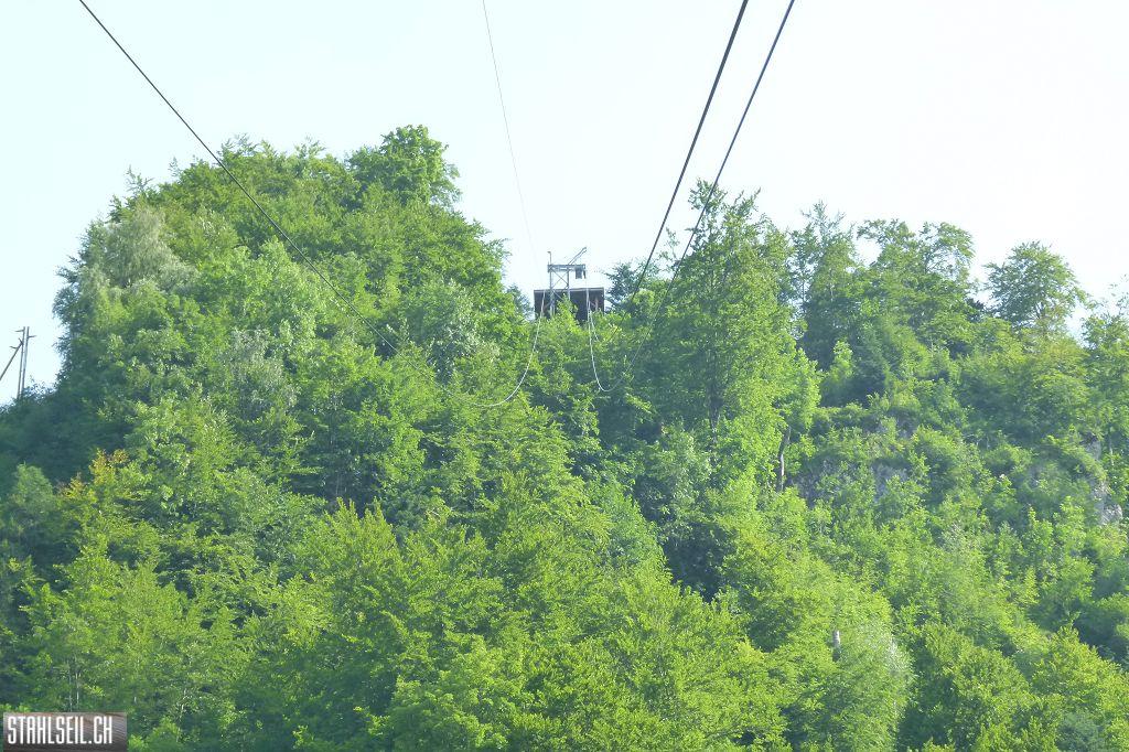 k-P1370210.JPG