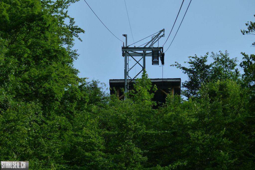 k-P1370204.JPG