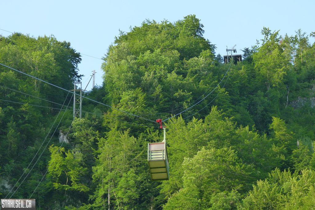 k-P1370083.JPG