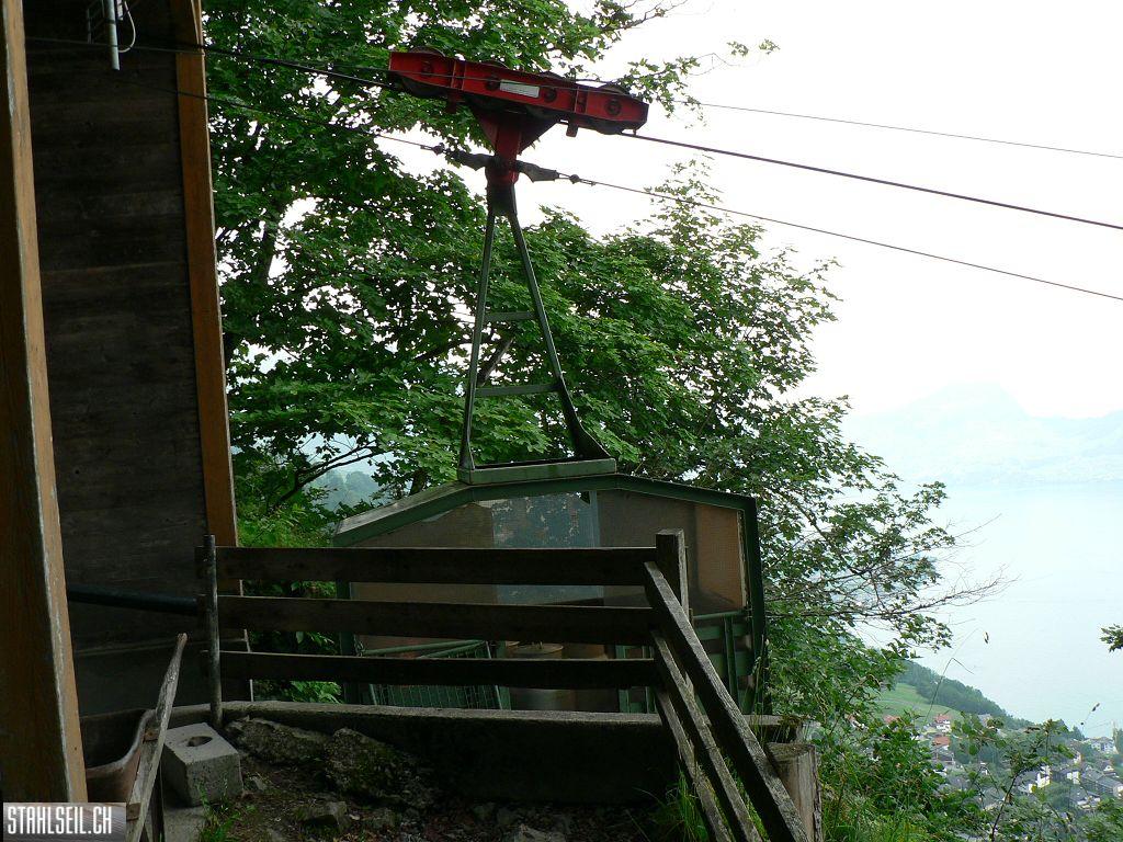 k-P1070555.JPG