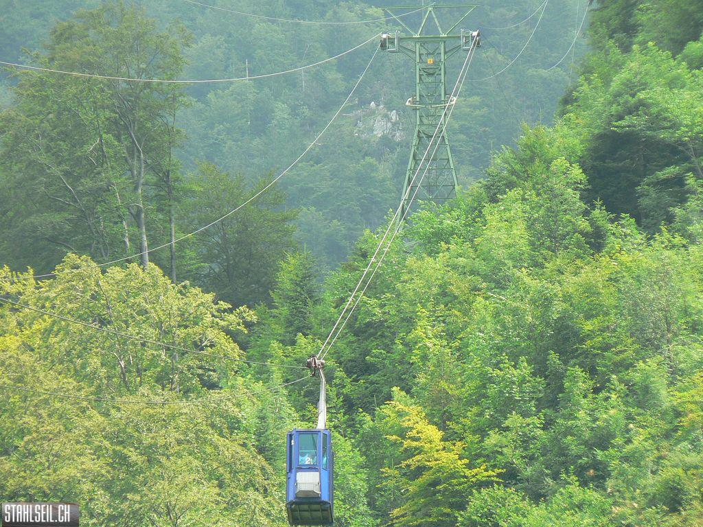 k-P1070591.JPG