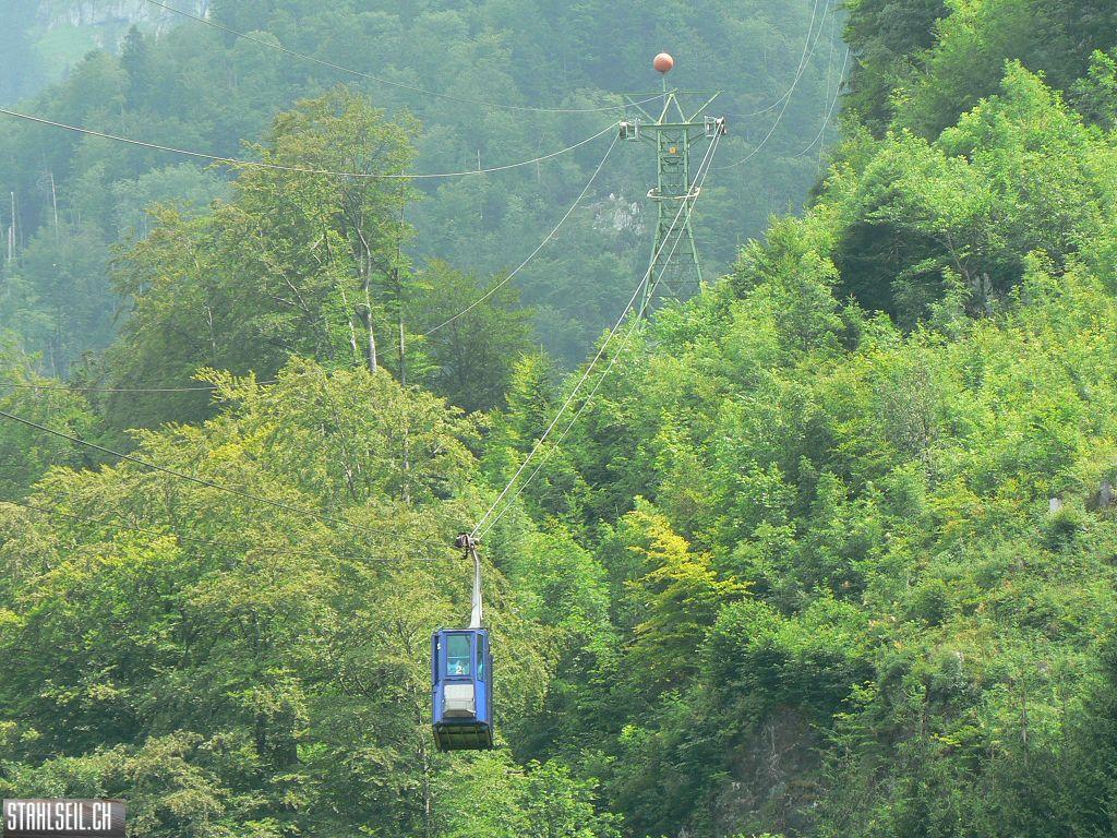 k-P1070592.JPG
