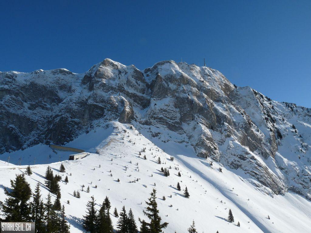 k-P1030307.JPG