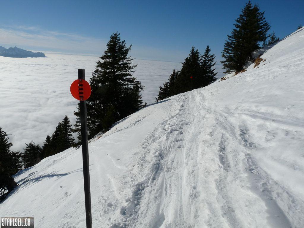 k-P1030310.JPG
