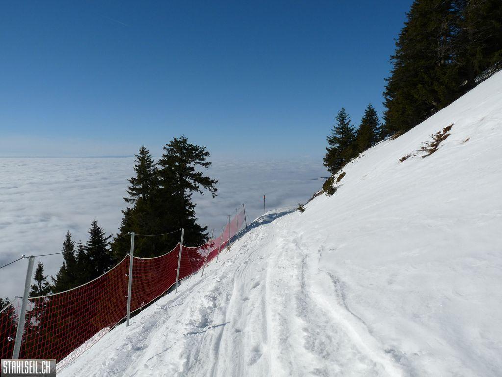 k-P1030312.JPG