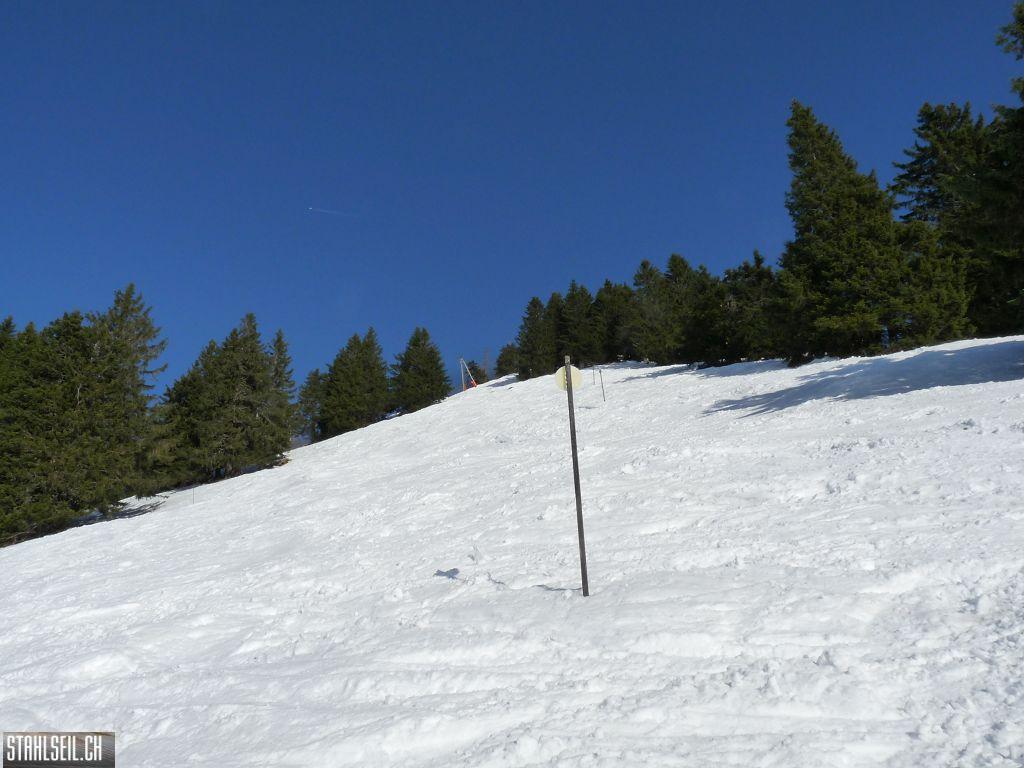 k-P1030318.JPG