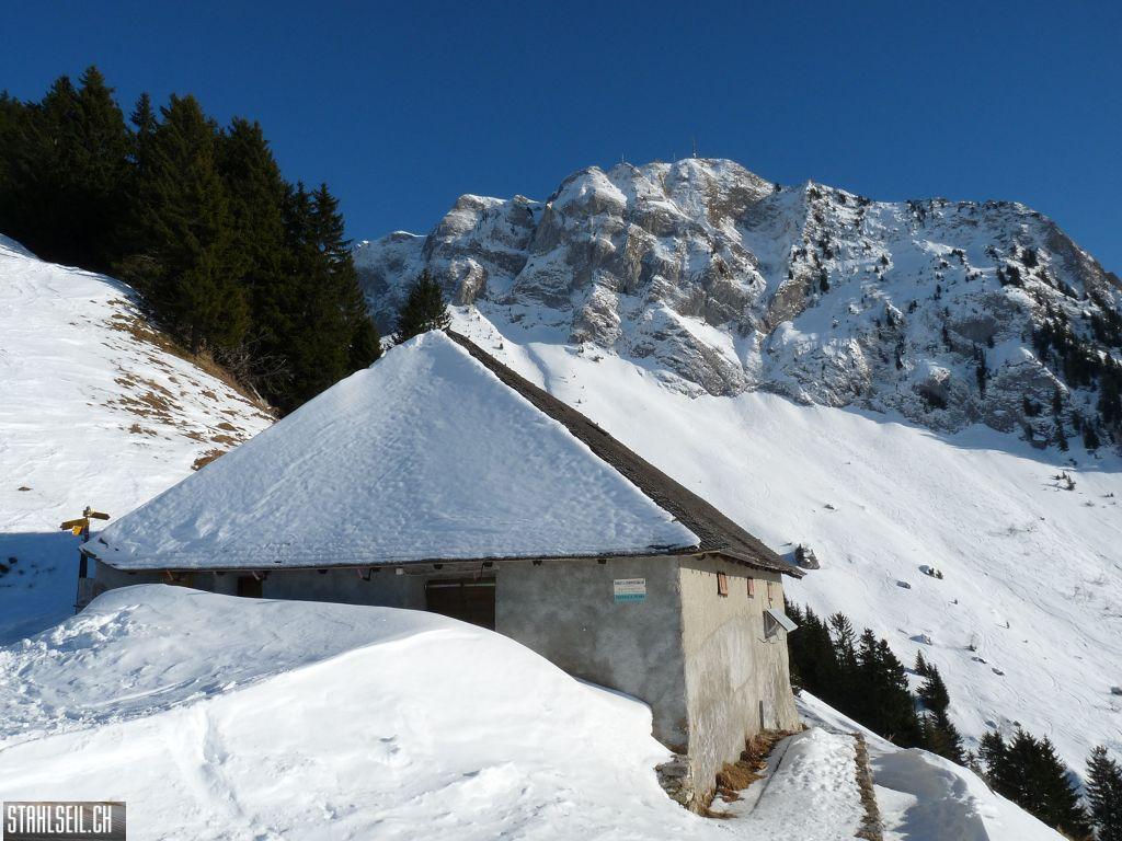 k-P1030319.JPG