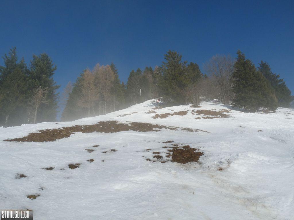 k-P1030332.JPG