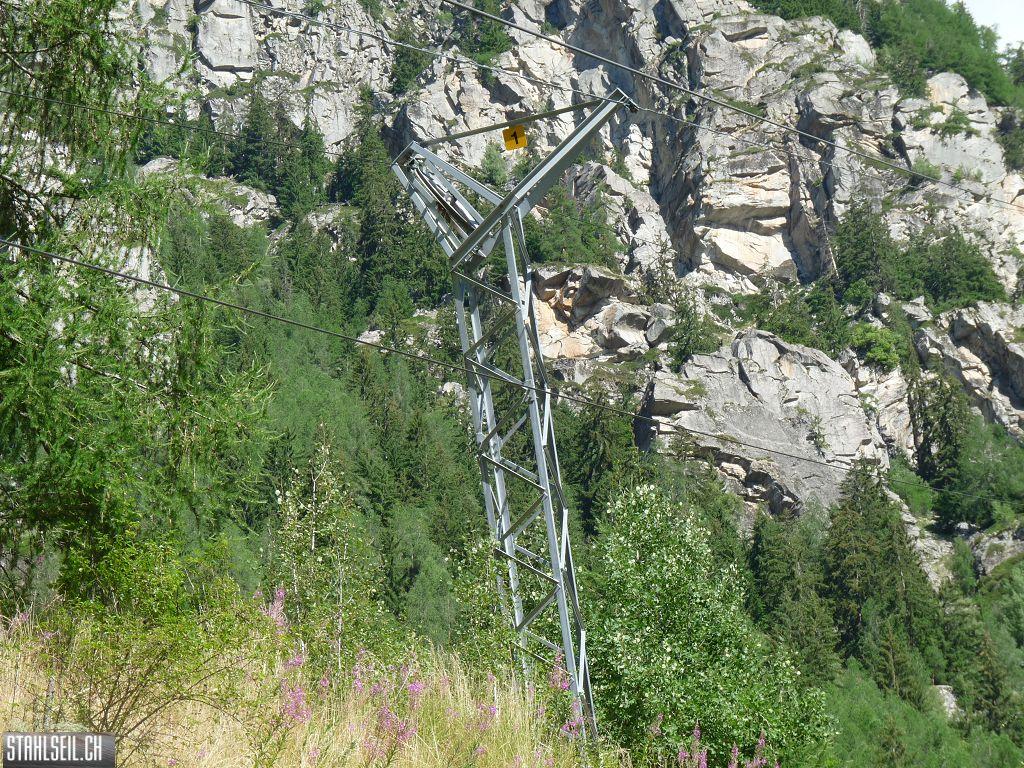 k-P1170703.JPG