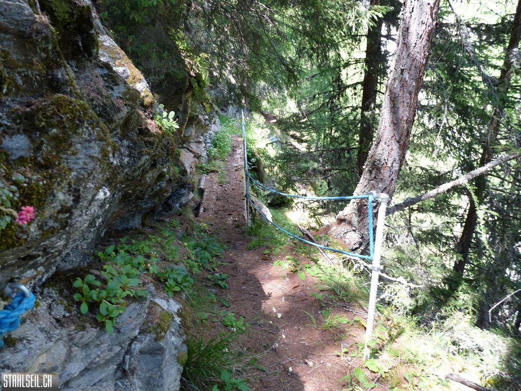k-P1170805.JPG